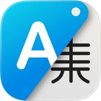 Translate Now*